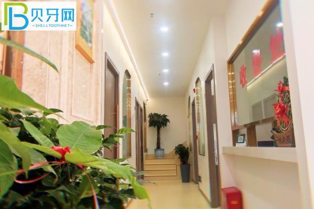 寧德博仕口腔電話